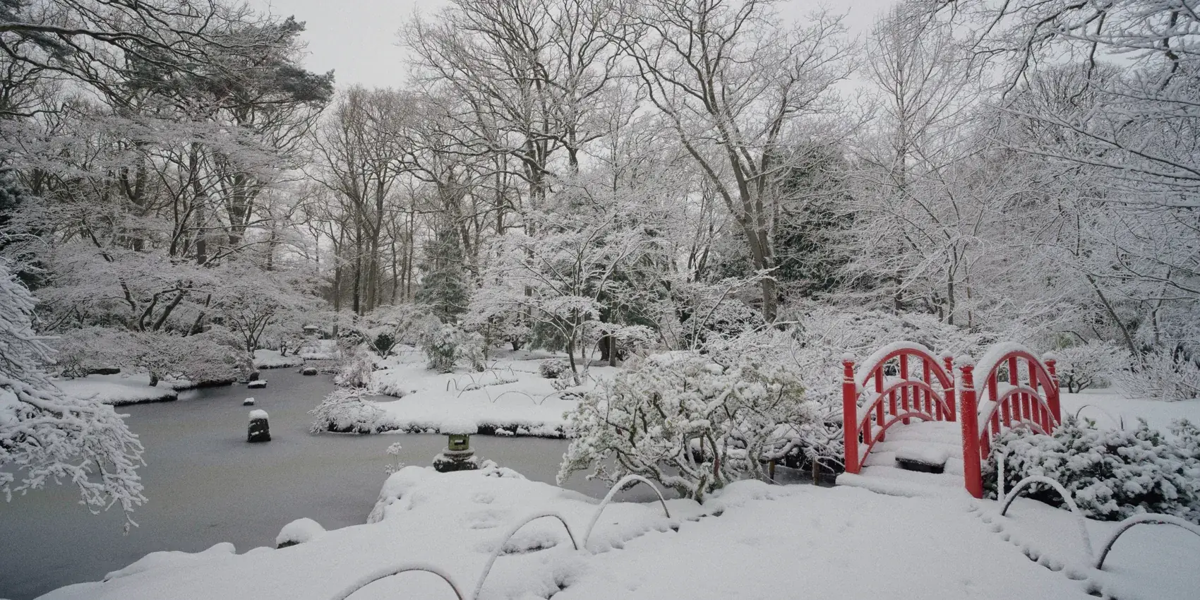 The Japanese garden at Clingendael under snow, the red bridge over the frozen pond.