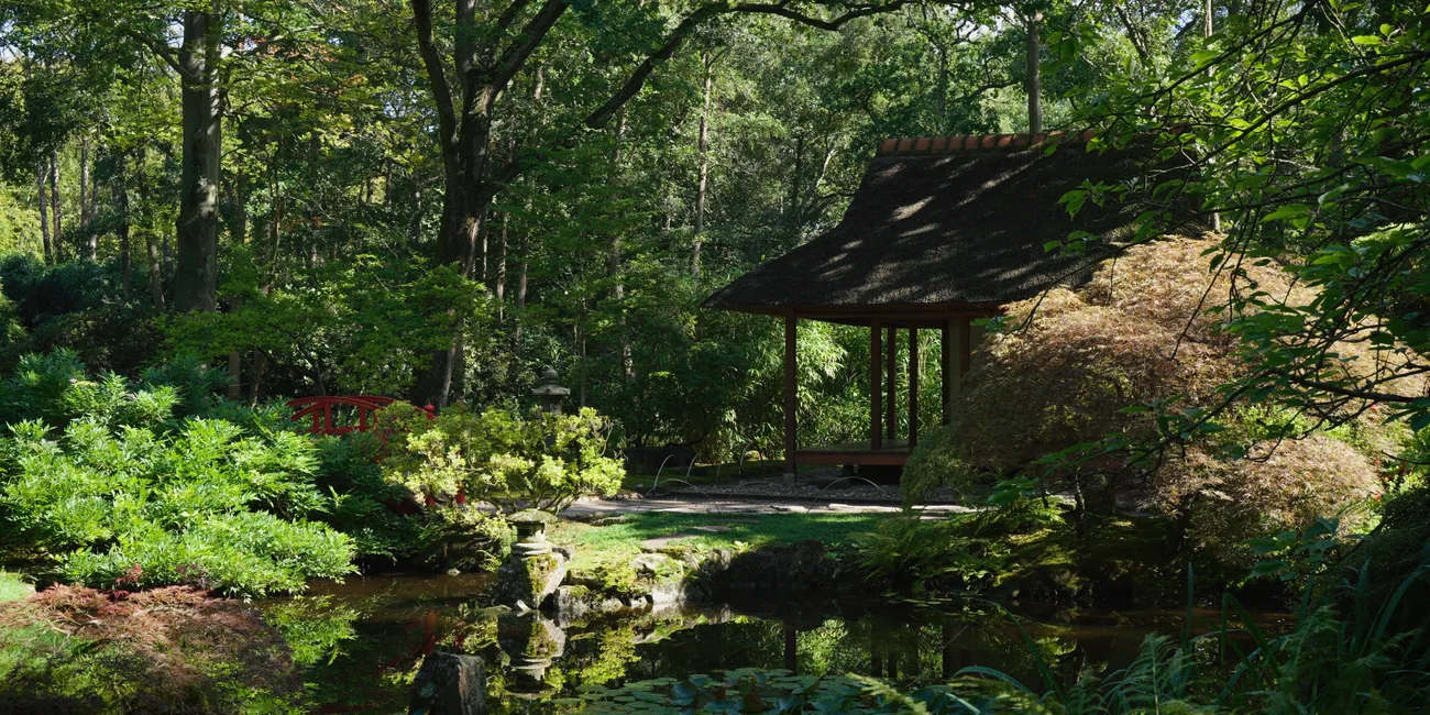 Opening shot of the Dreaming of Japan preview: the Garden at Clingendael in summer, the thatched pavilion above the pond and the red bridge beyond.